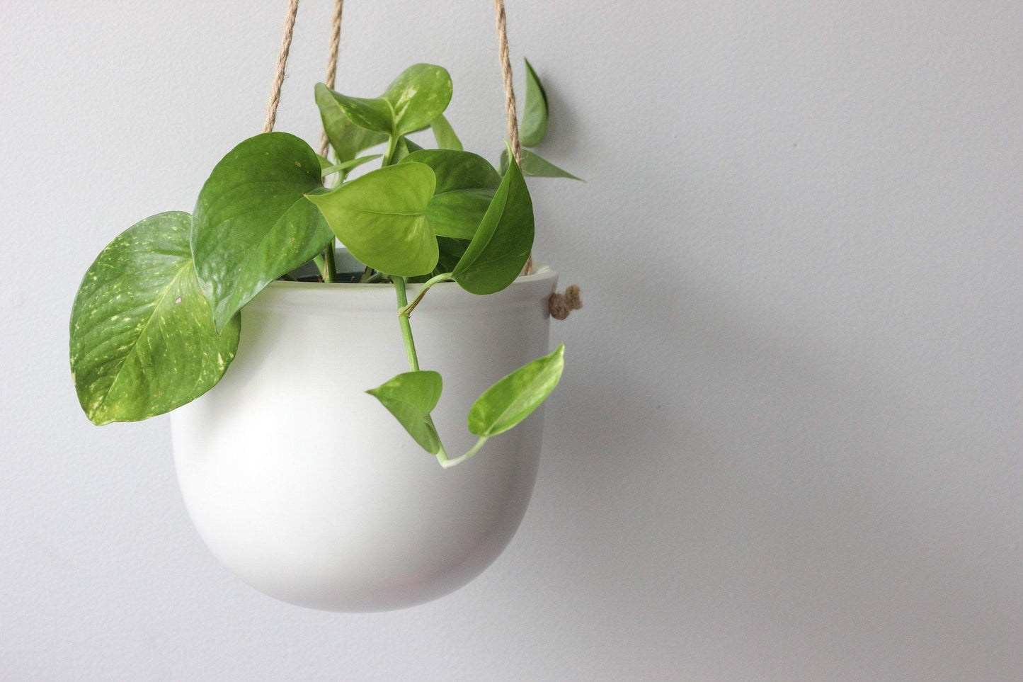 Matte Boho Ceramic Hanging Planter