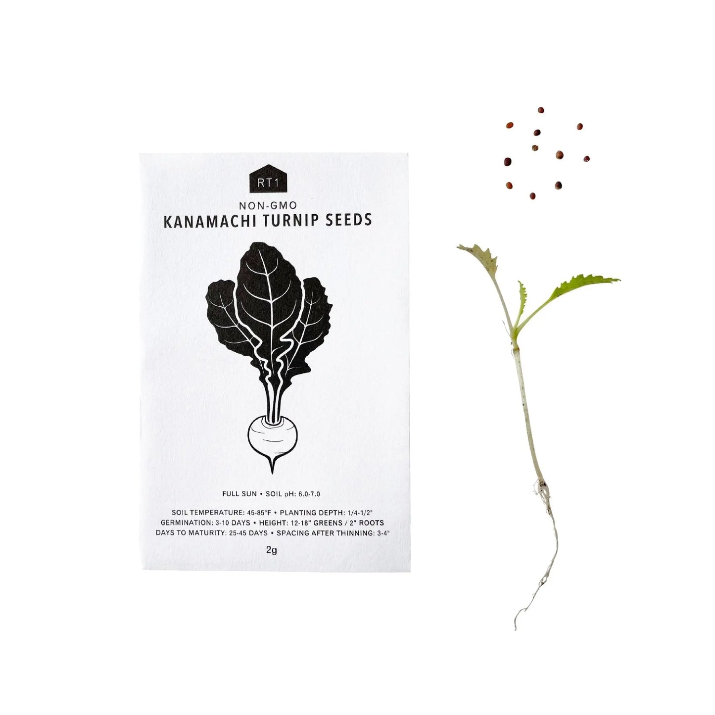 JAPANESE FALL VEG 5PK |  SEEDS
