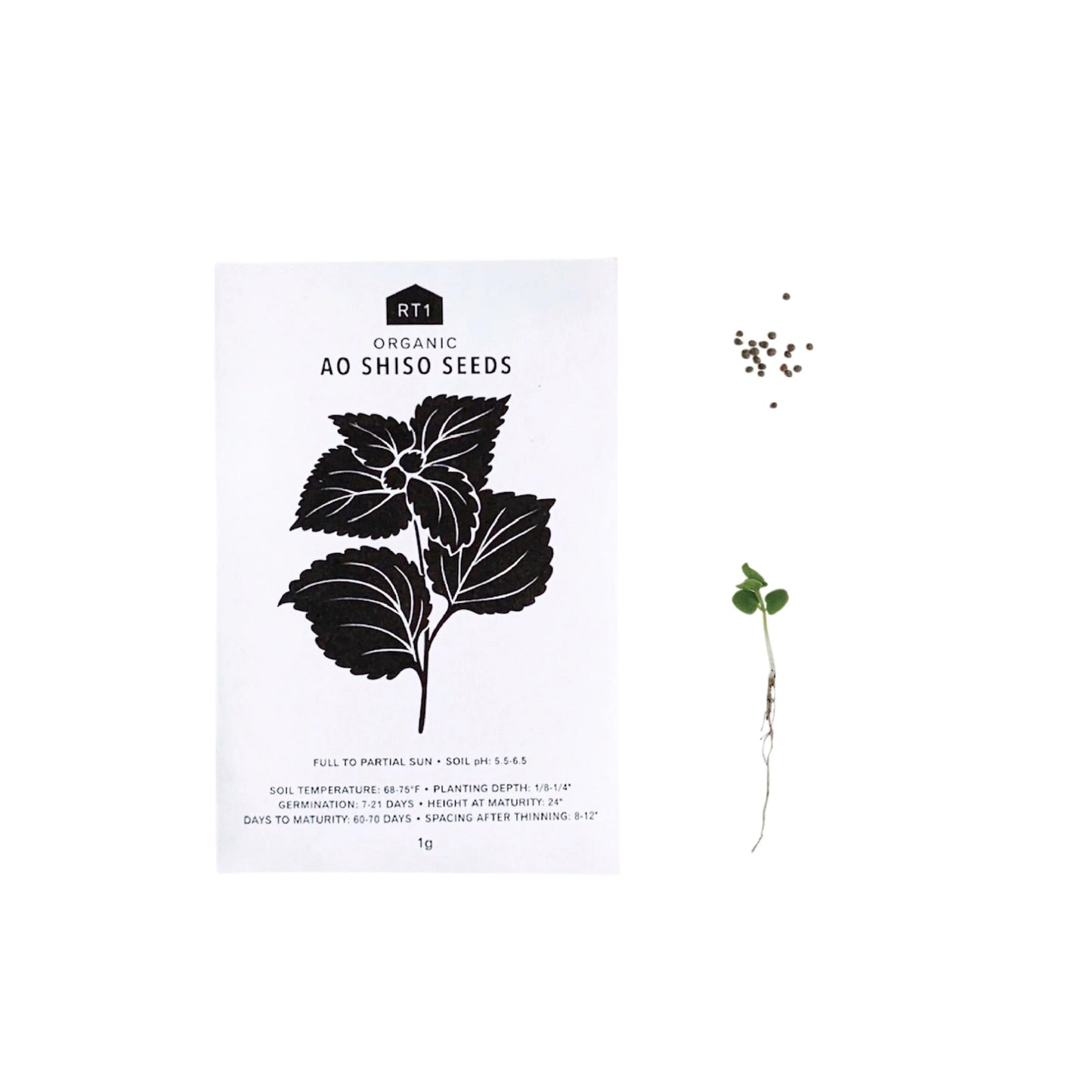 Seeds | JAPANESE HERB 5 PK