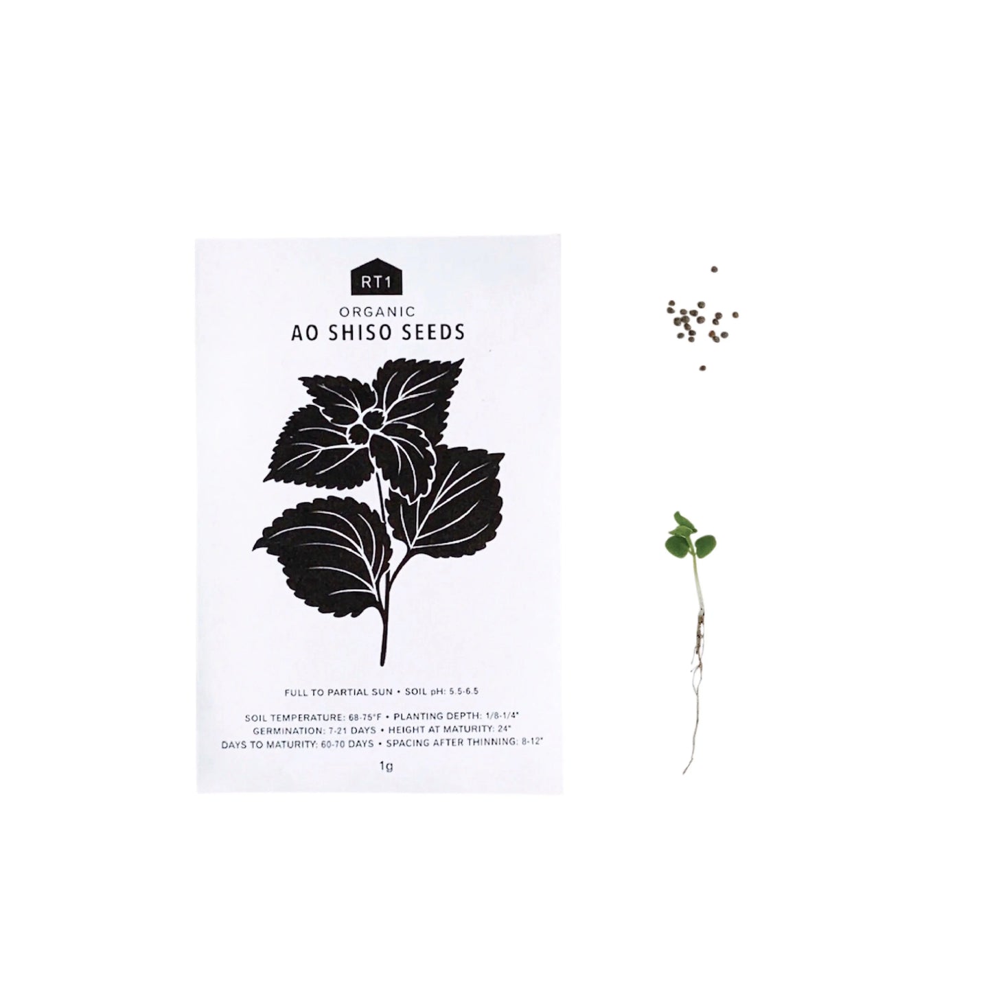JAPANESE HERB 5 PK | SEEDS