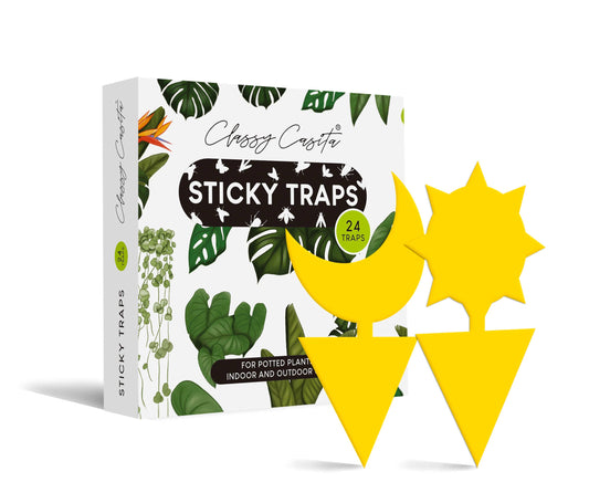 Boujee Sticky Traps