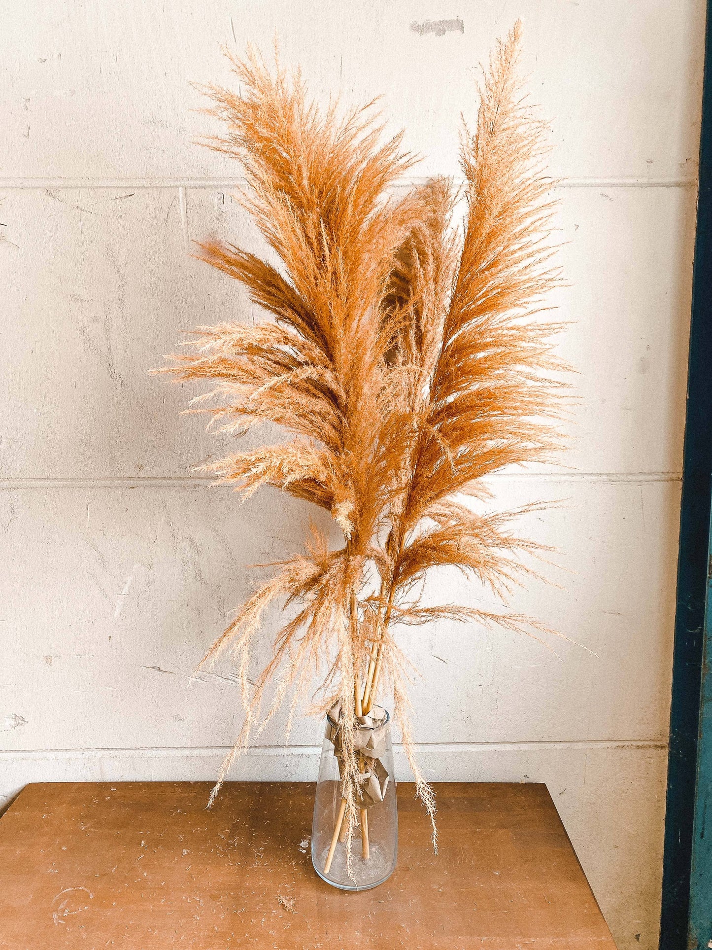 Dried & Preserved Floral | Pampas Grass
