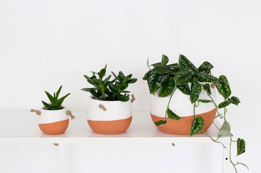 Burnt Orange Duo Glaze |  Hanging Planter