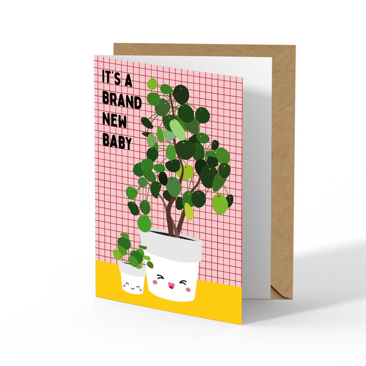 New baby pilea Postcard Plant