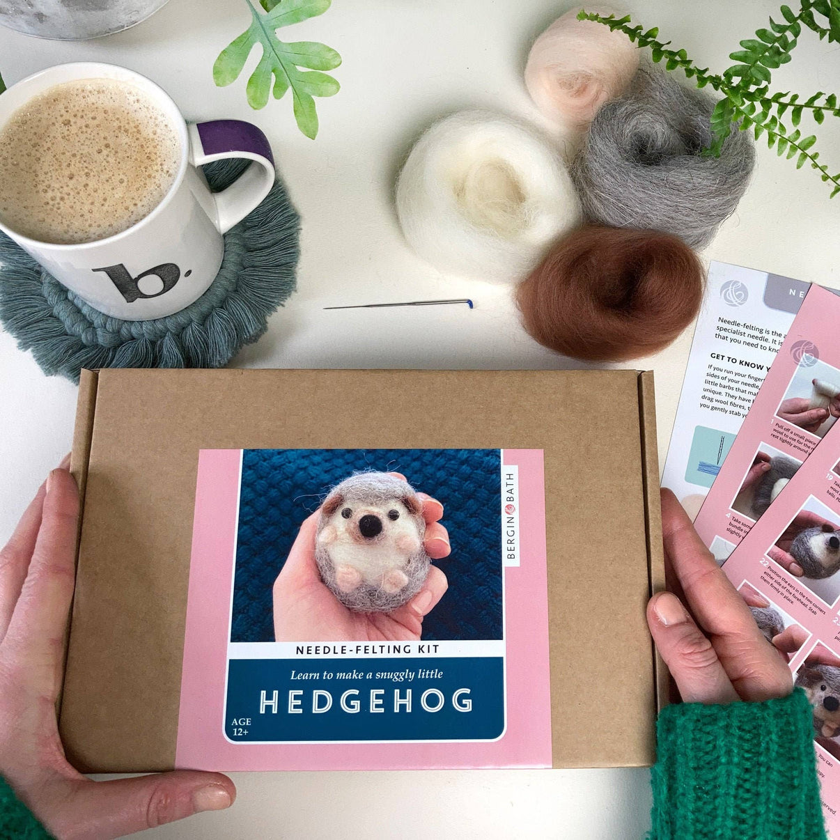 Hedgehog Needle Felting Kit The Botanist Calgary