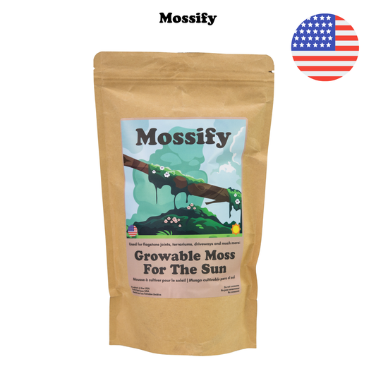 Mossify | Growable Moss for the Sun