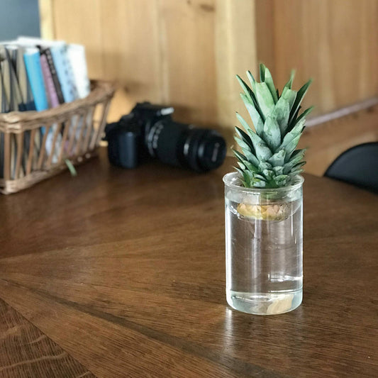 Short Bulb | Vase