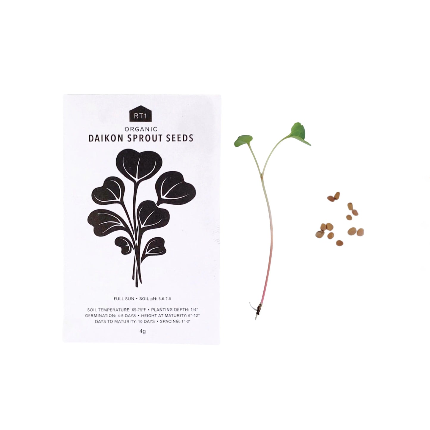JAPANESE HERB 5 PK | SEEDS
