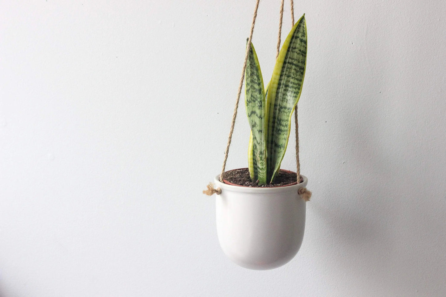 Matte Boho Ceramic Hanging Planter