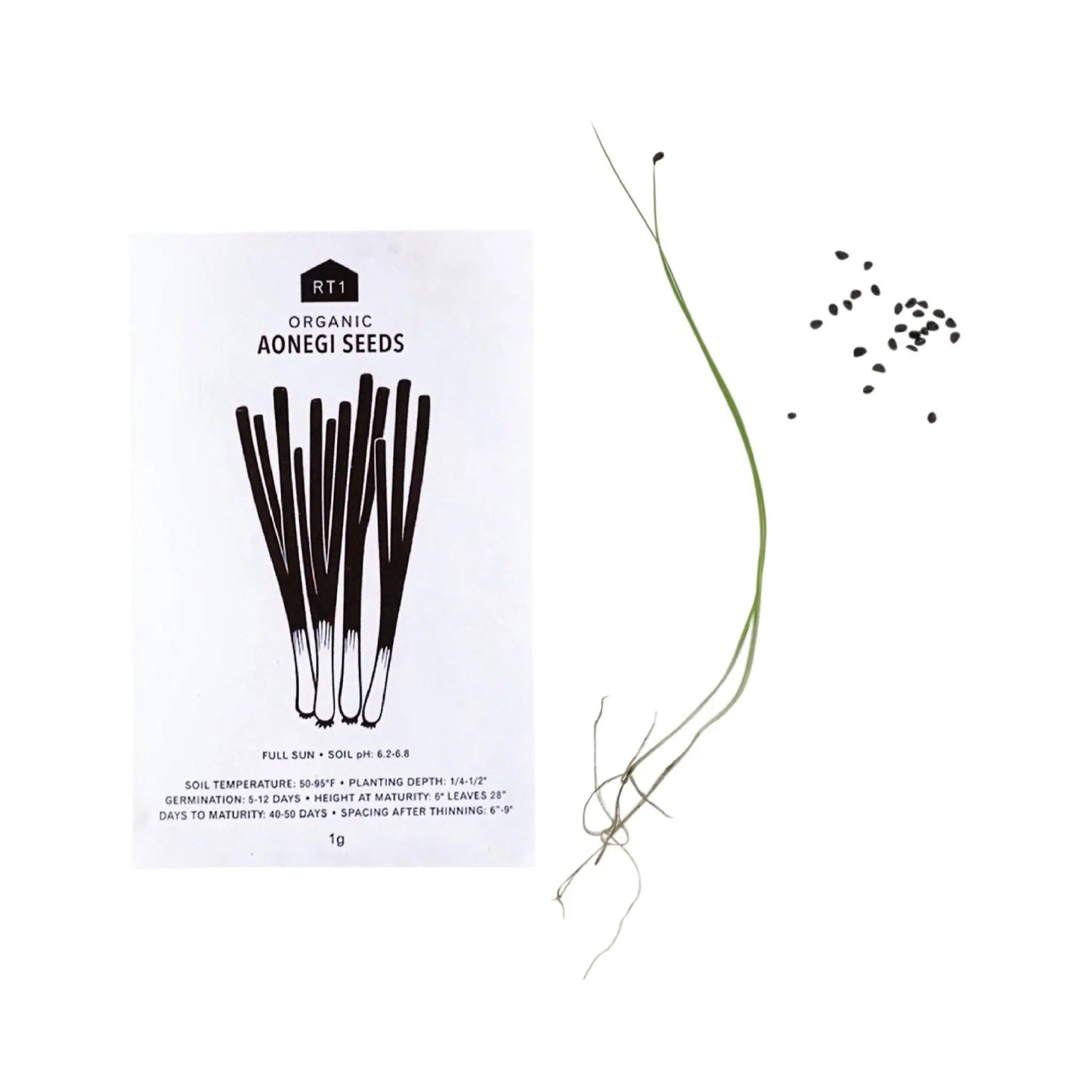 JAPANESE HERB 5 PK | SEEDS
