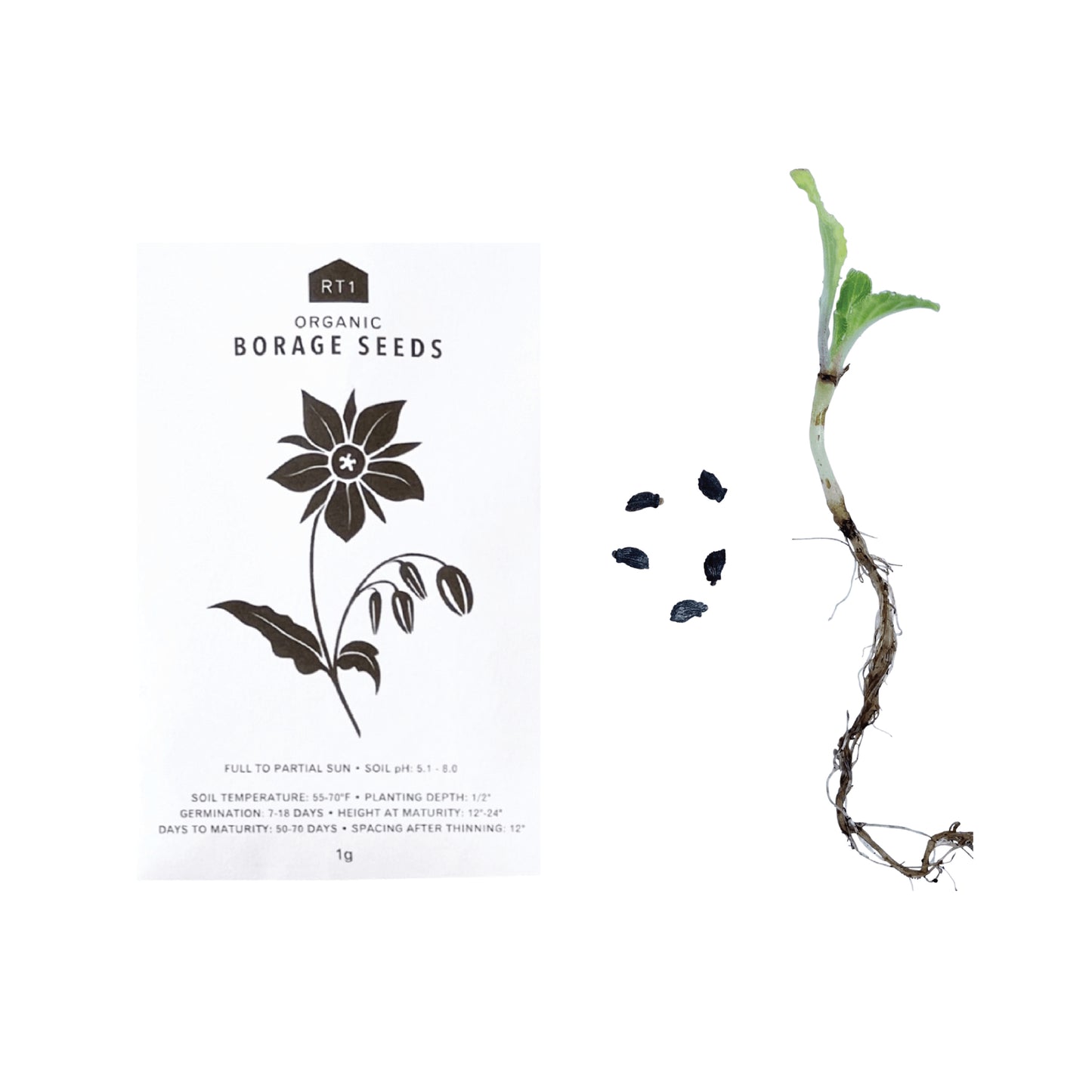Seeds | EDIBLE FLOWERS 5 PK