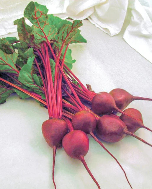 Beets | Early Wonder | Seeds