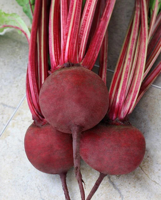 Seeds | Beets Detroit Supreme