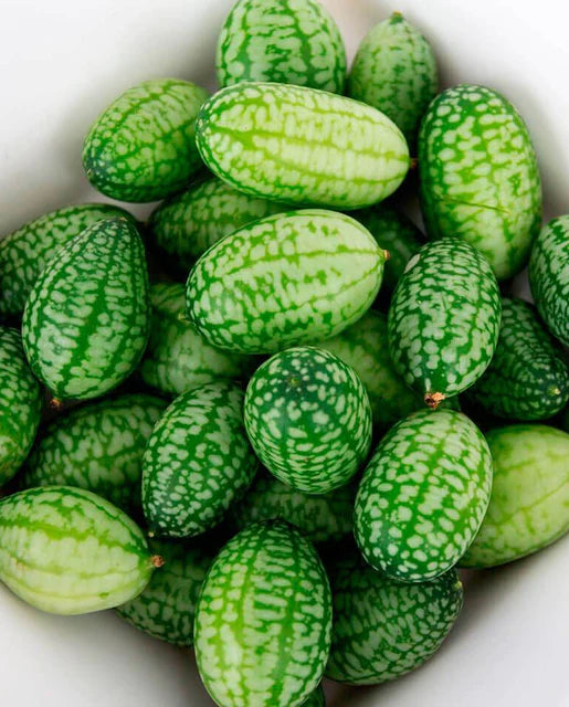 Cucumbers | Cucamelon | Seeds