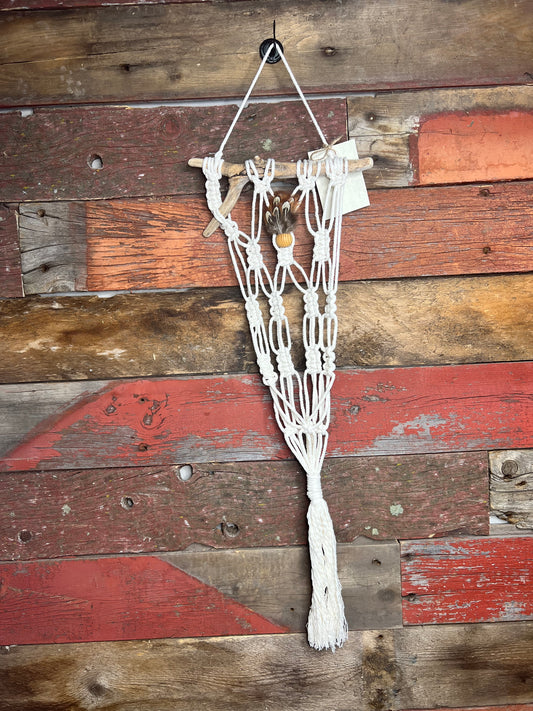 Driftwood Macrame  | Wild Rose Creations