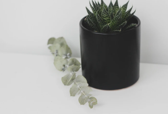 Cylinder Planter |Sprout & About