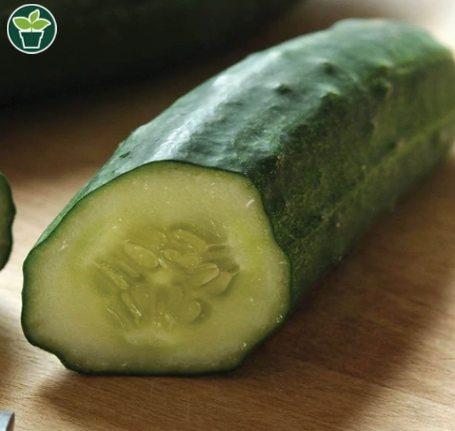 Cucumbers | Patio Snackers | Seeds