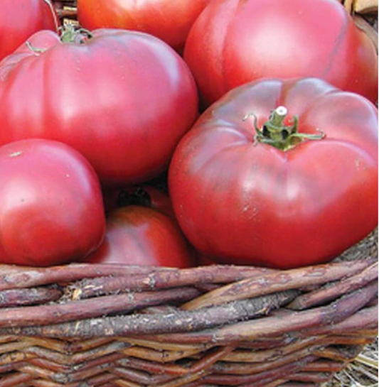 Tomatoes | Black Krim Certified Organic | Seeds