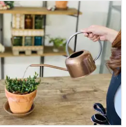 Watering Can 1L