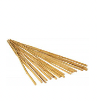 Bamboo Stakes