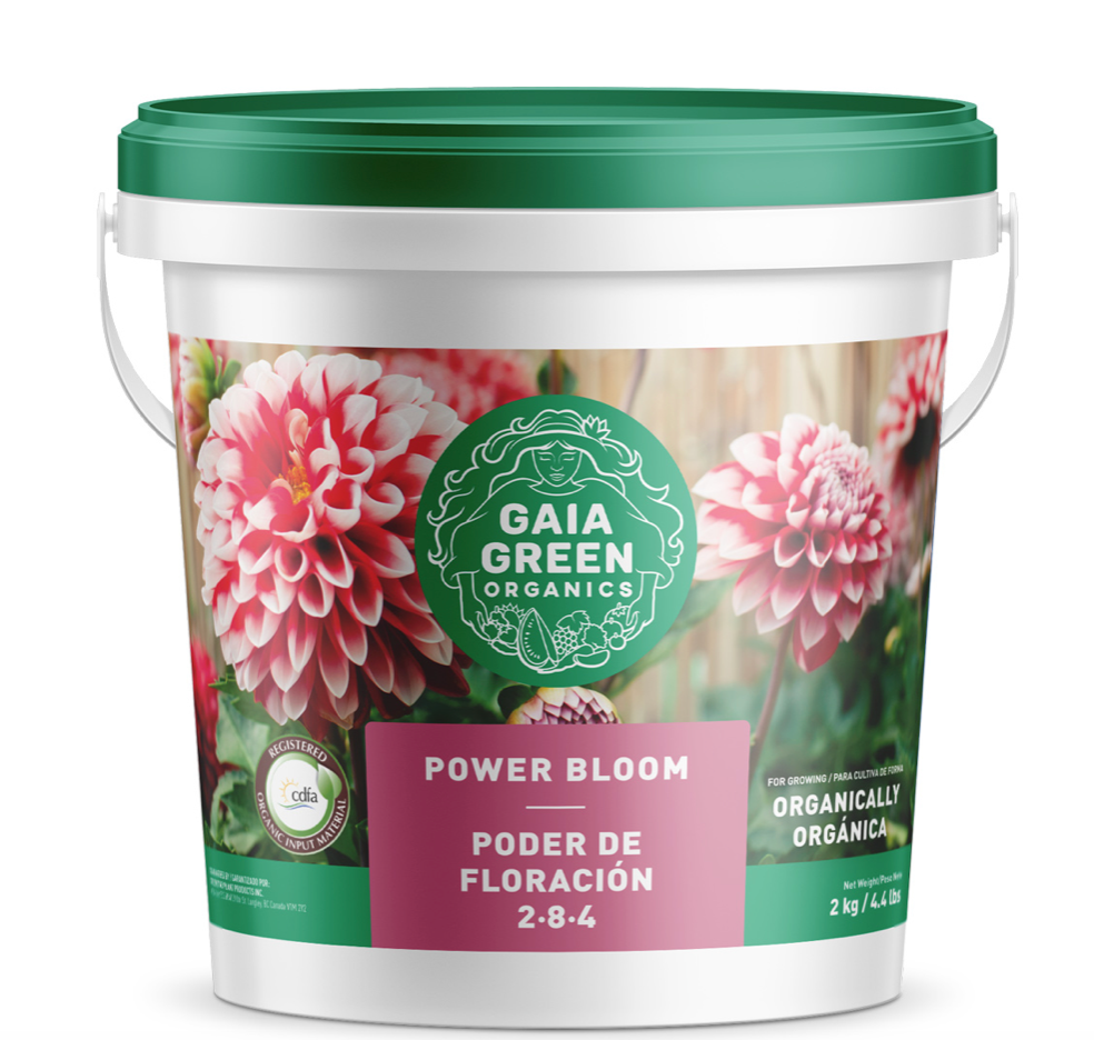 Power Bloom 284 | Gaia Green