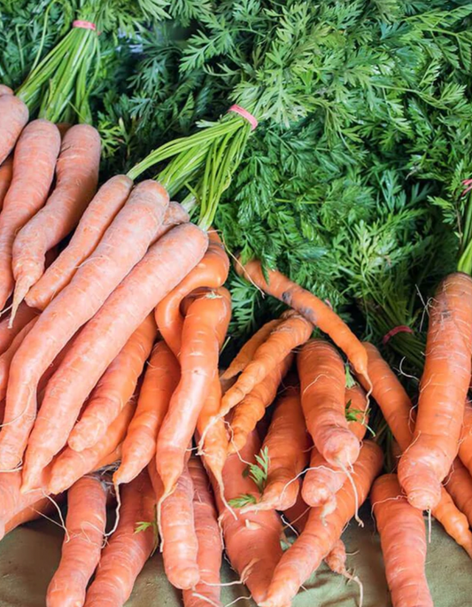 Carrots | Nutri Red | Seeds