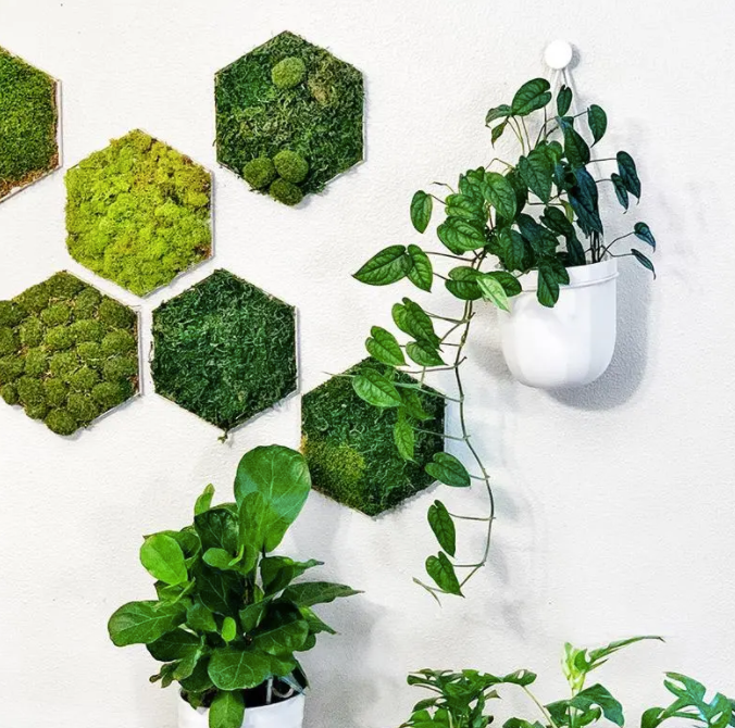 WallyGrow Loop Hanging Planter