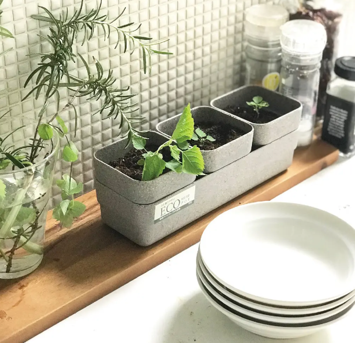 Eco Planter Herb Pot | Sustainable