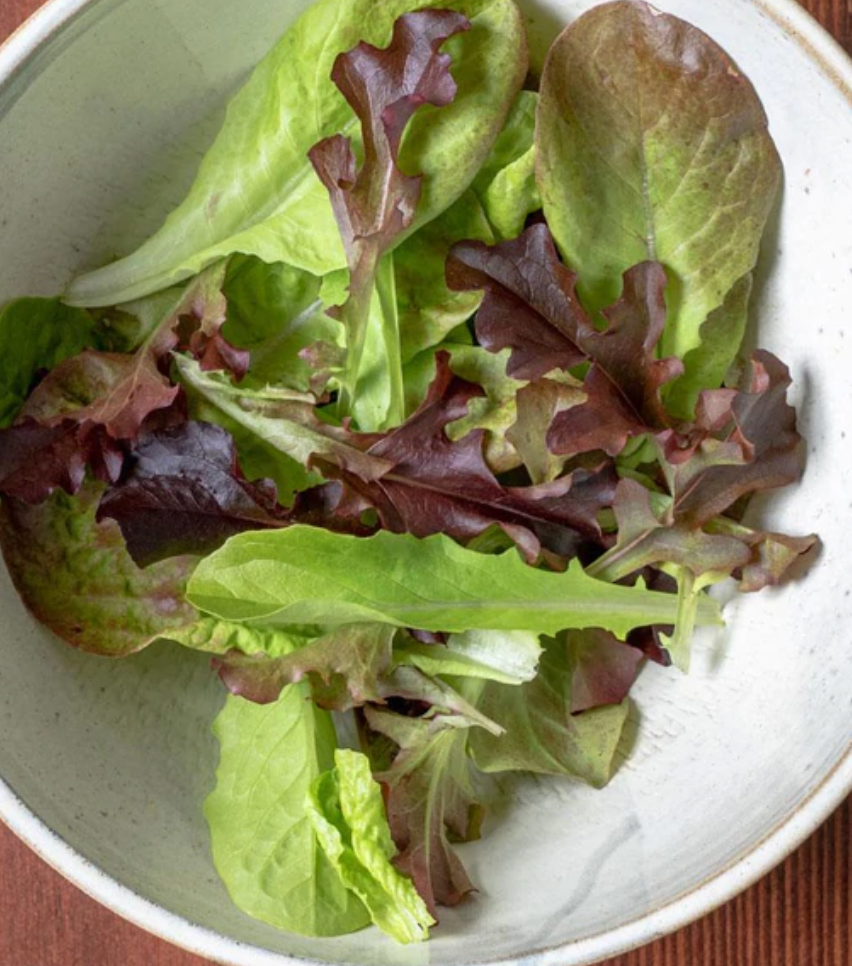 Seeds | Lettuce Summer Picnic Pelleted