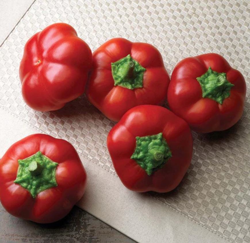 Peppers | Right On Red Hungarian Cheese Pepper | Seeds