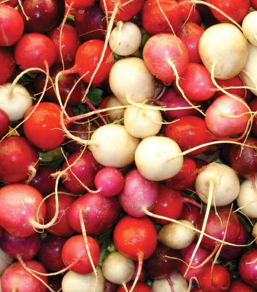 Radishes | Easter Egg II | Seeds