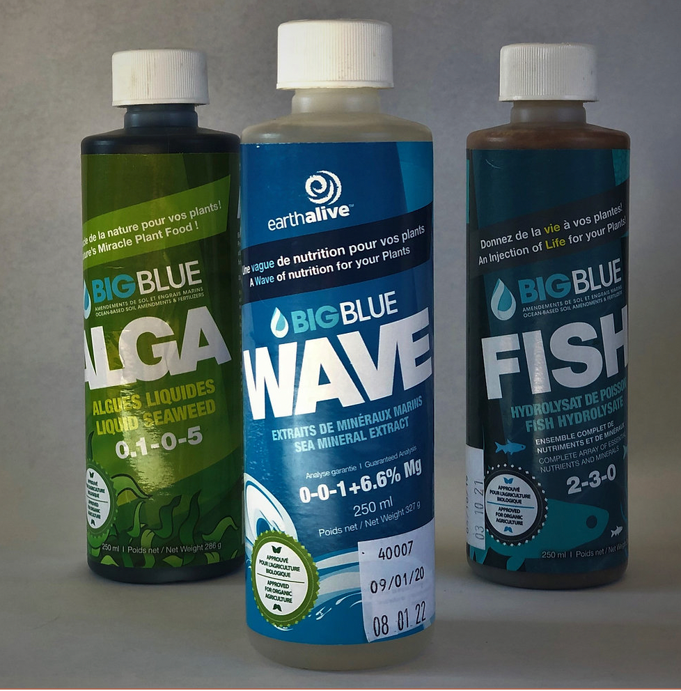 Wave Ocean Minerals (Liquid Azomite)