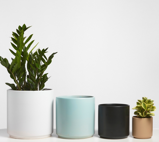 P & P | Classic Ceramic Planter