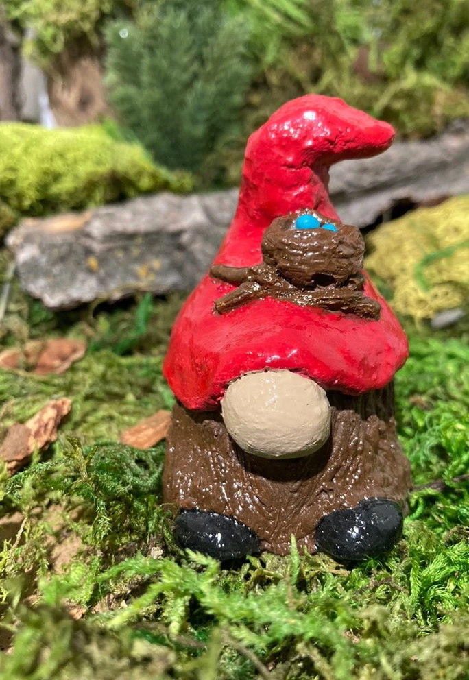 Gnome And Garden