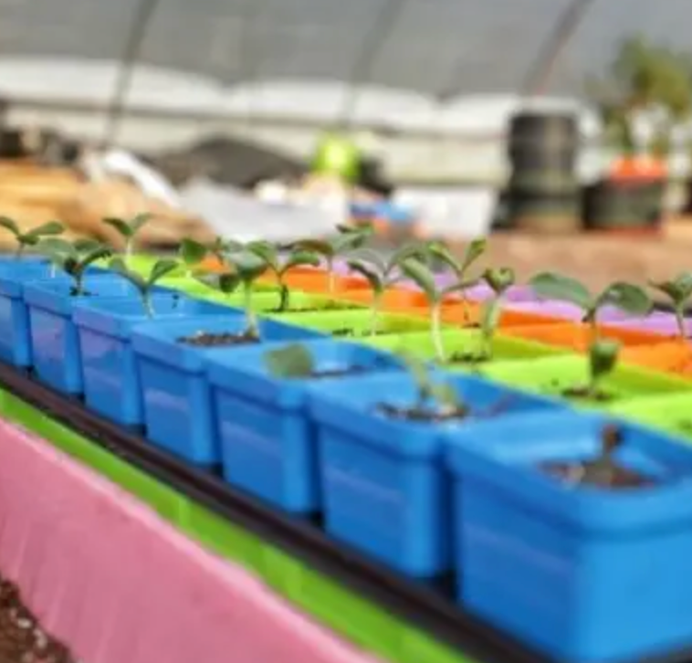 Bootstrap Farmer | Square Pot Seed Starting 2.5"