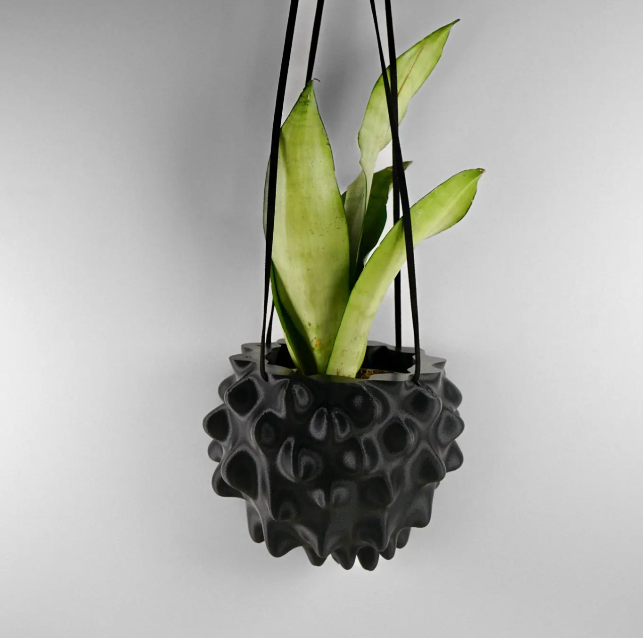Rosebud | Hanging Orb Urchin 3D Planter