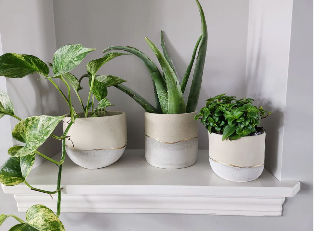 White & Cream Concrete Planter | Plant Er' Here