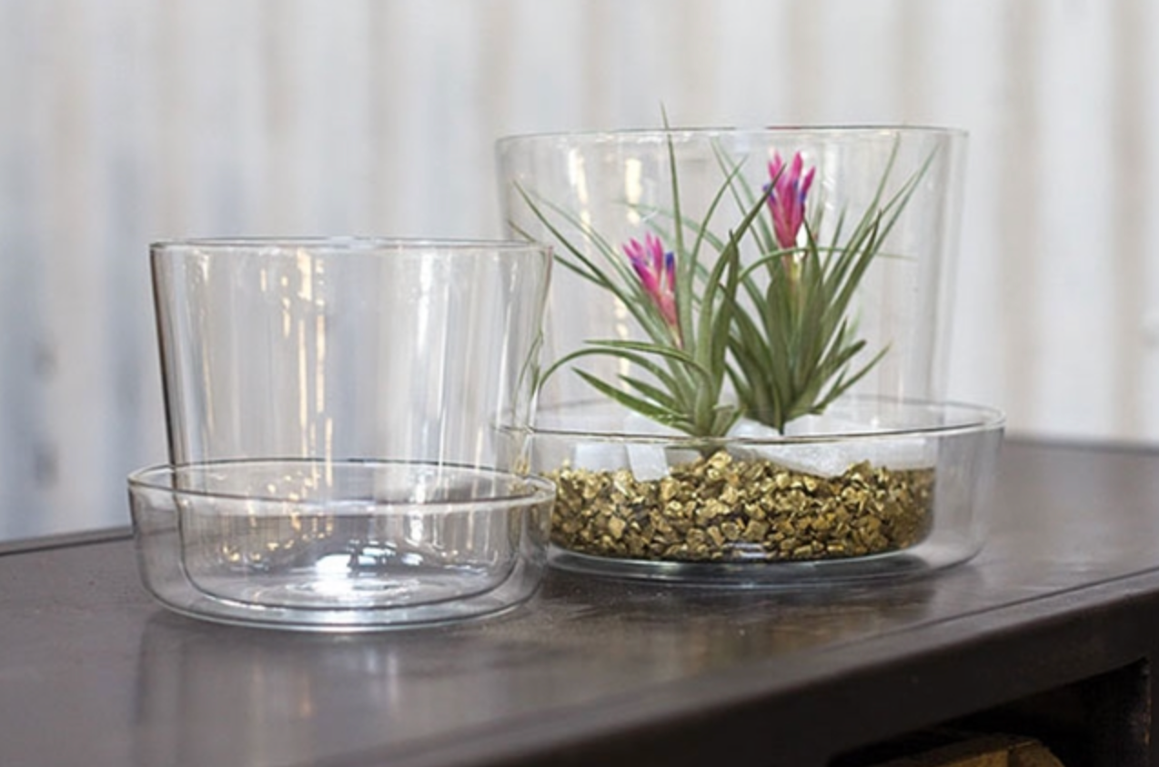 Glass Pot & Saucer