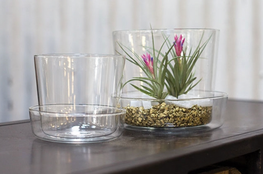Glass Pot & Saucer