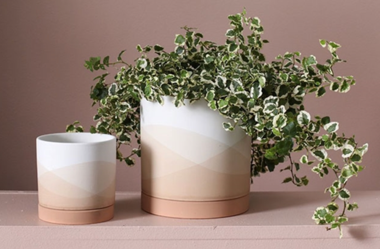 Vesper Ceramic Pot + Saucer