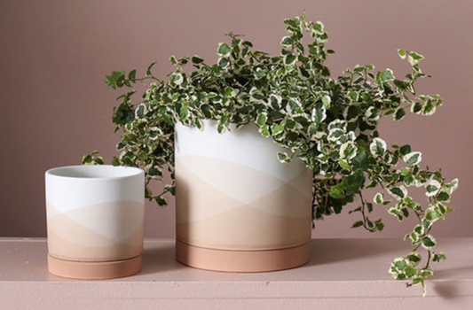 Vesper Ceramic Pot + Saucer