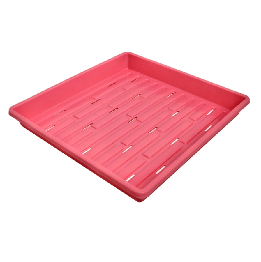 1010  Trays Shallow HOLES