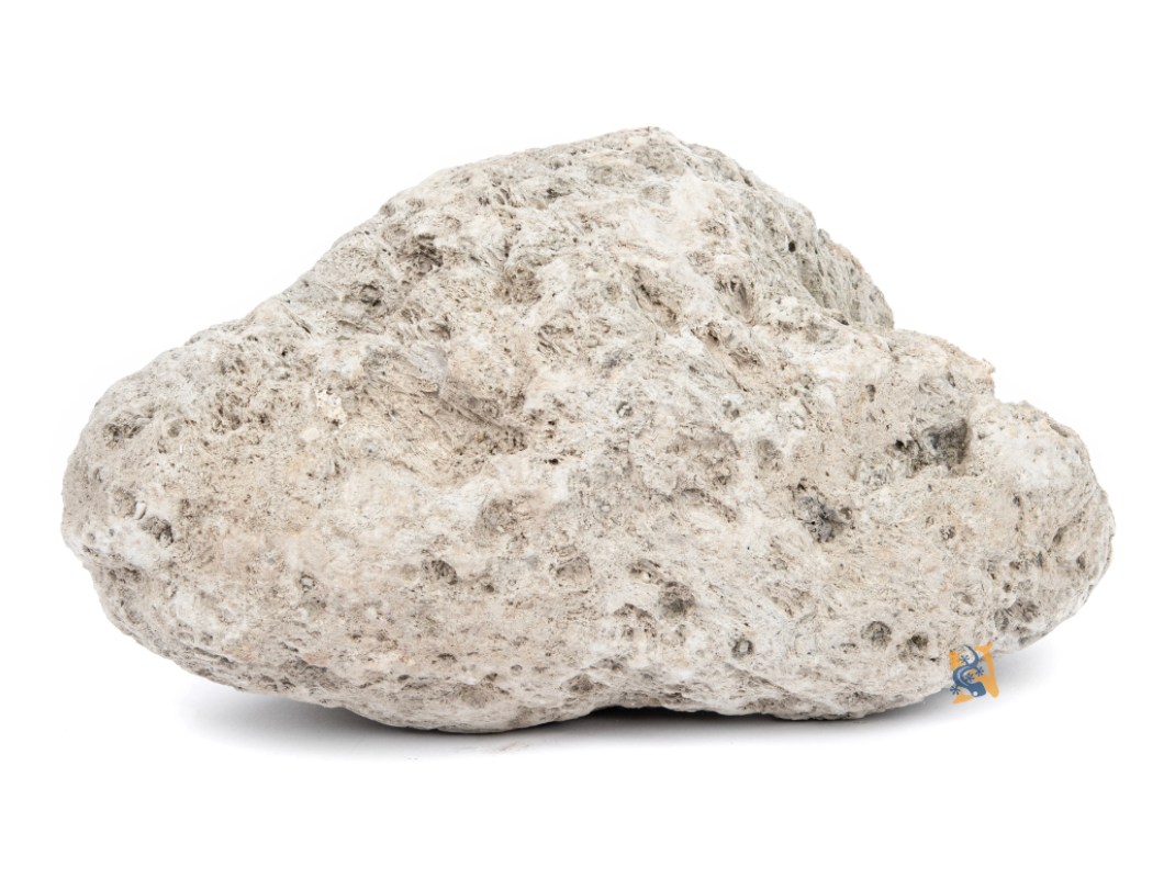 Floating Avatar Rock | Pumice Stone