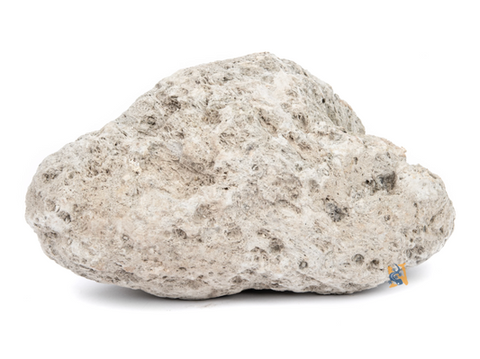 Floating Avatar Rock | Pumice Stone
