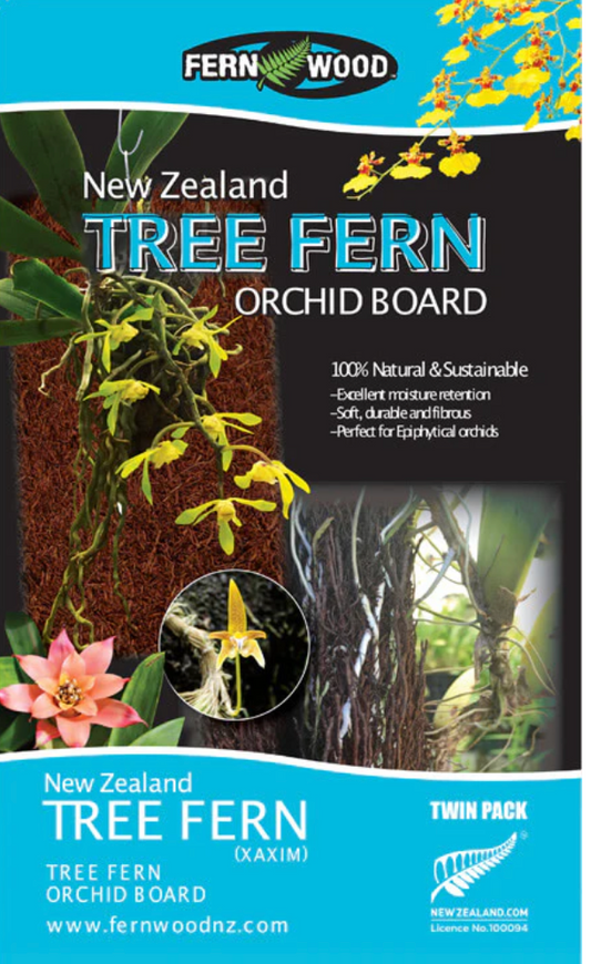 Tree Fern Orchid Board