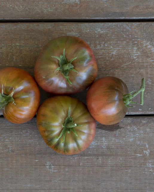 Tomatoes | Medusa Certified Organic | Seeds