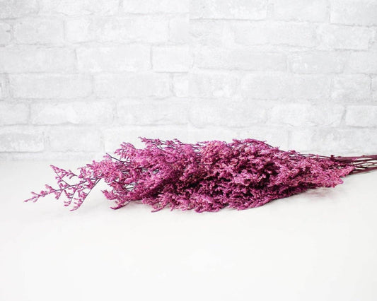 Dried & Preserved Floral | Caspia