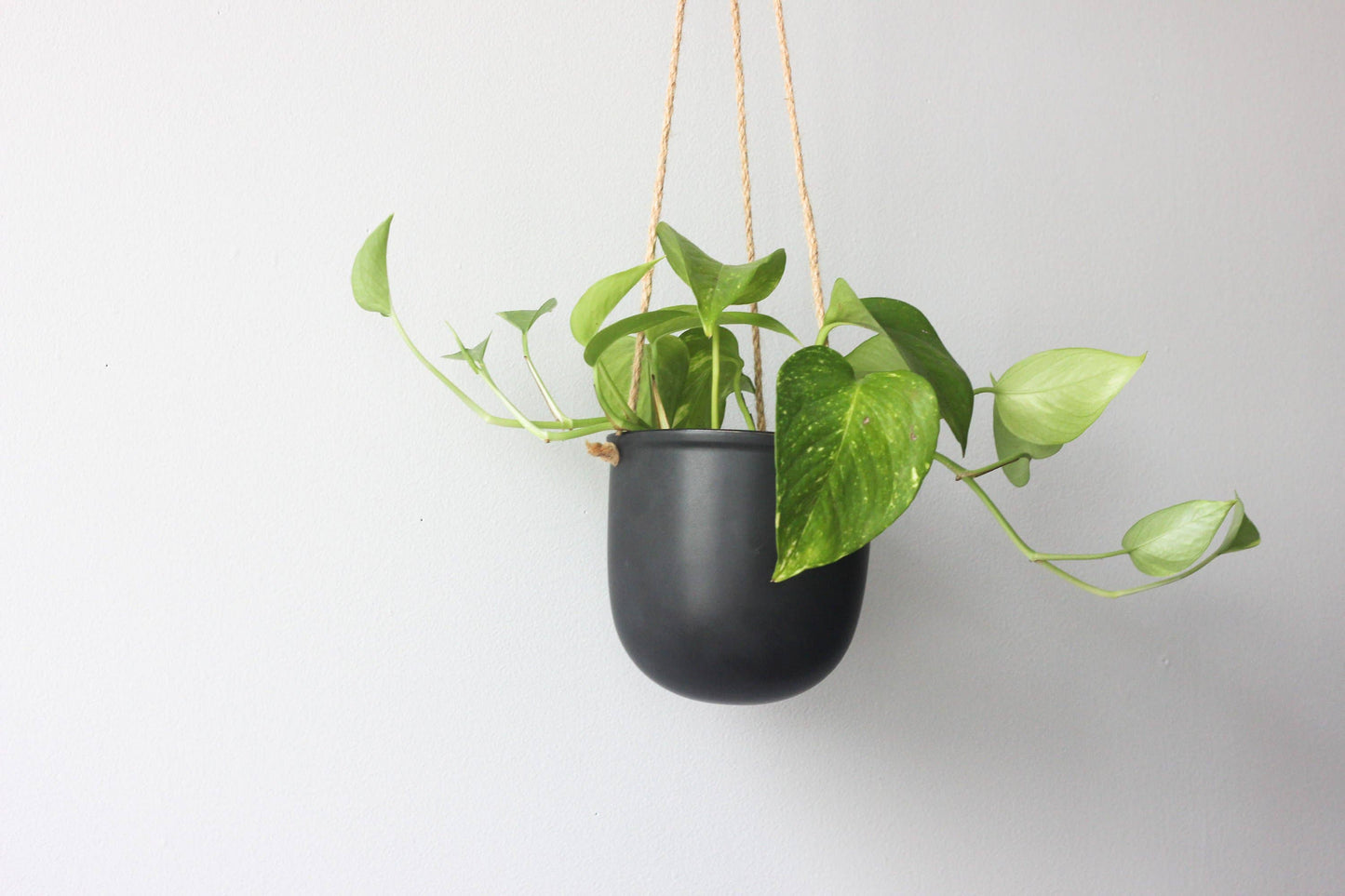 Matte Boho Ceramic Hanging Planter