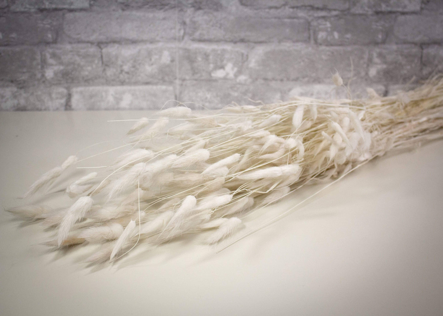 Dried & Preserved Floral | Bunny Tails