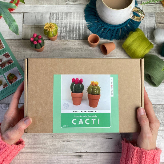 Cacti | Needle felting kit
